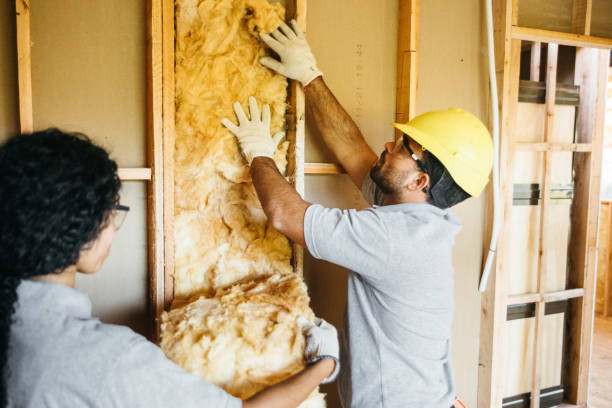 Best Insulation Contractor Near Me  in Hollywood Park, TX