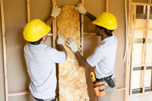 Best Insulation Replacement Services  in Hollywood Park, TX