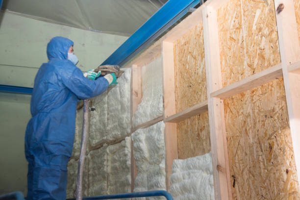 Best Affordable Insulation Services  in Hollywood Park, TX