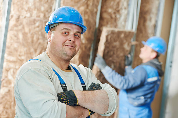 Best Insulation for New Construction  in Hollywood Park, TX